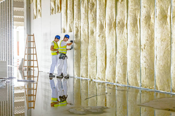 Best Cellulose Insulation in Altus, OK